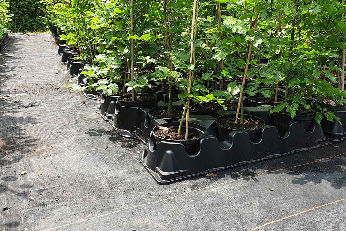 Flexi Tray