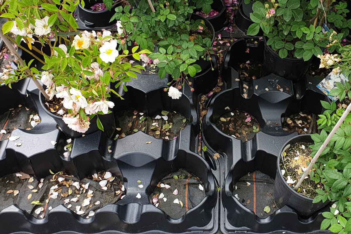 Flexi Tray
