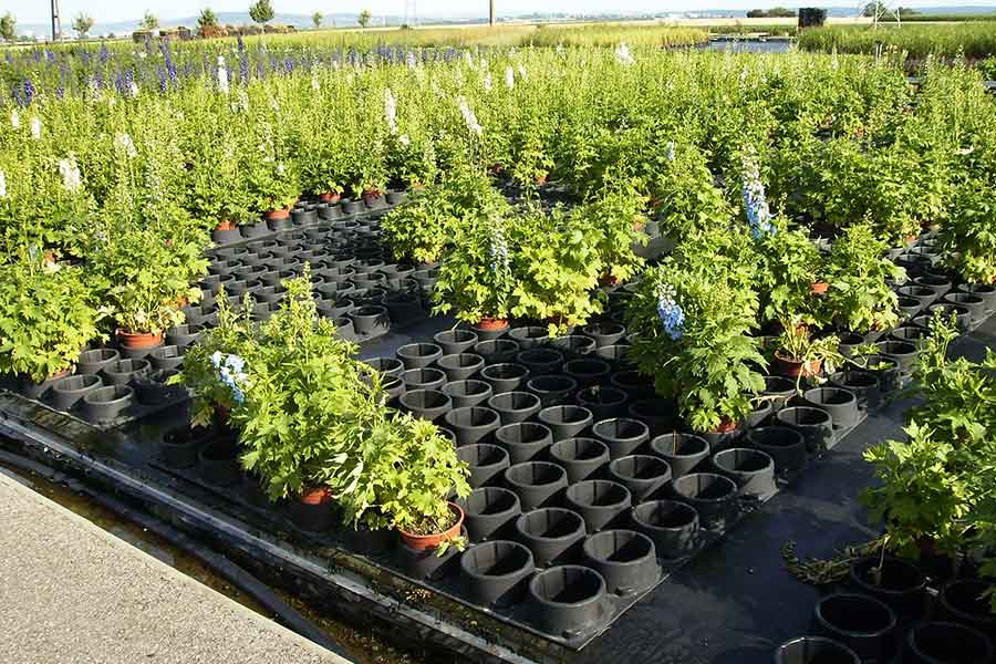 Porte-pots